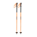 Faction Ski Poles