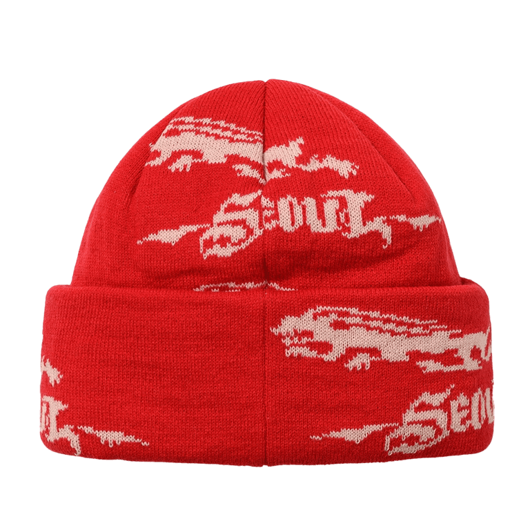 Rabbit Pattern Beanie