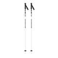 Stove Ski Poles