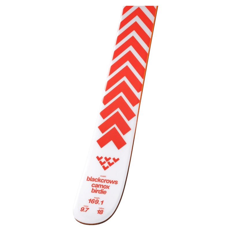 Tail view of the Black Crows CAMOX BIRDIE Skis, 26/27 unisex's model