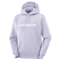 pRODUCT view of the Salomon 2026 Logo Hoodie in Cosmic Sky colourway