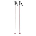 Atomic Cloud Ski Poles