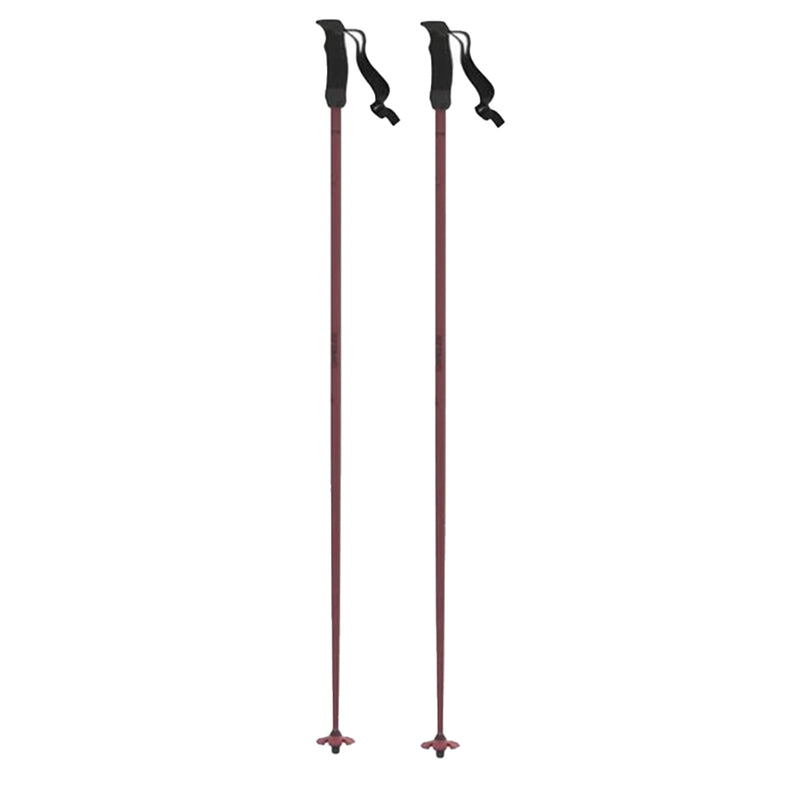 Atomic Cloud Ski Poles