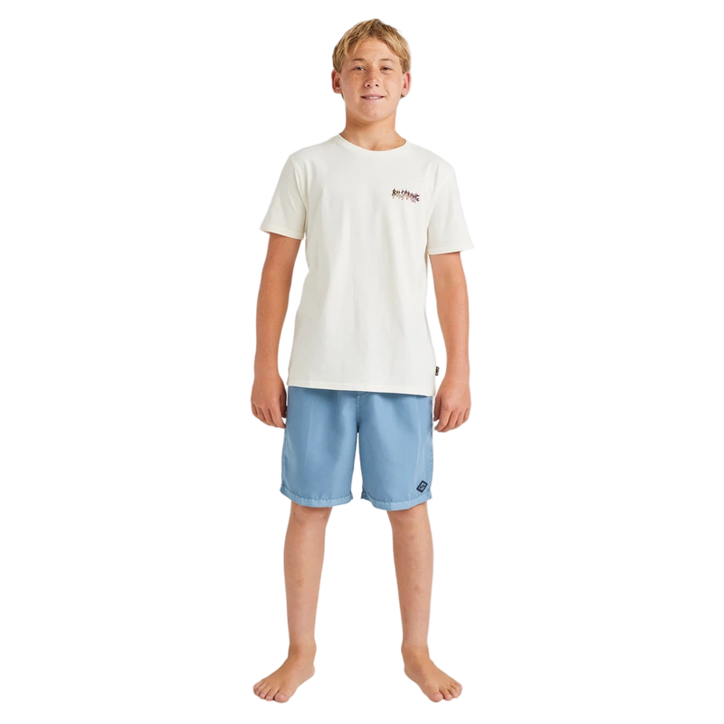 Blue Billabong kids shorts