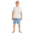 Blue Billabong kids shorts