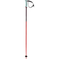 Volkl Phantastick Ski Pole