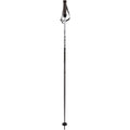 Volkl Phantastick Ski Pole