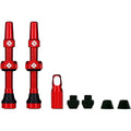 Tubeless Valves Kit V2