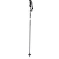 K2 Power Comp Ski Pole