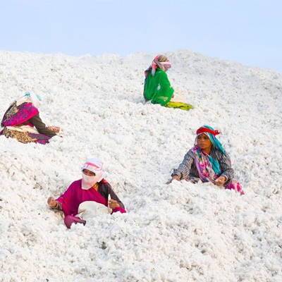 FARM TO YARN - VOLCOM CREATING CHANGE GLOBALLY