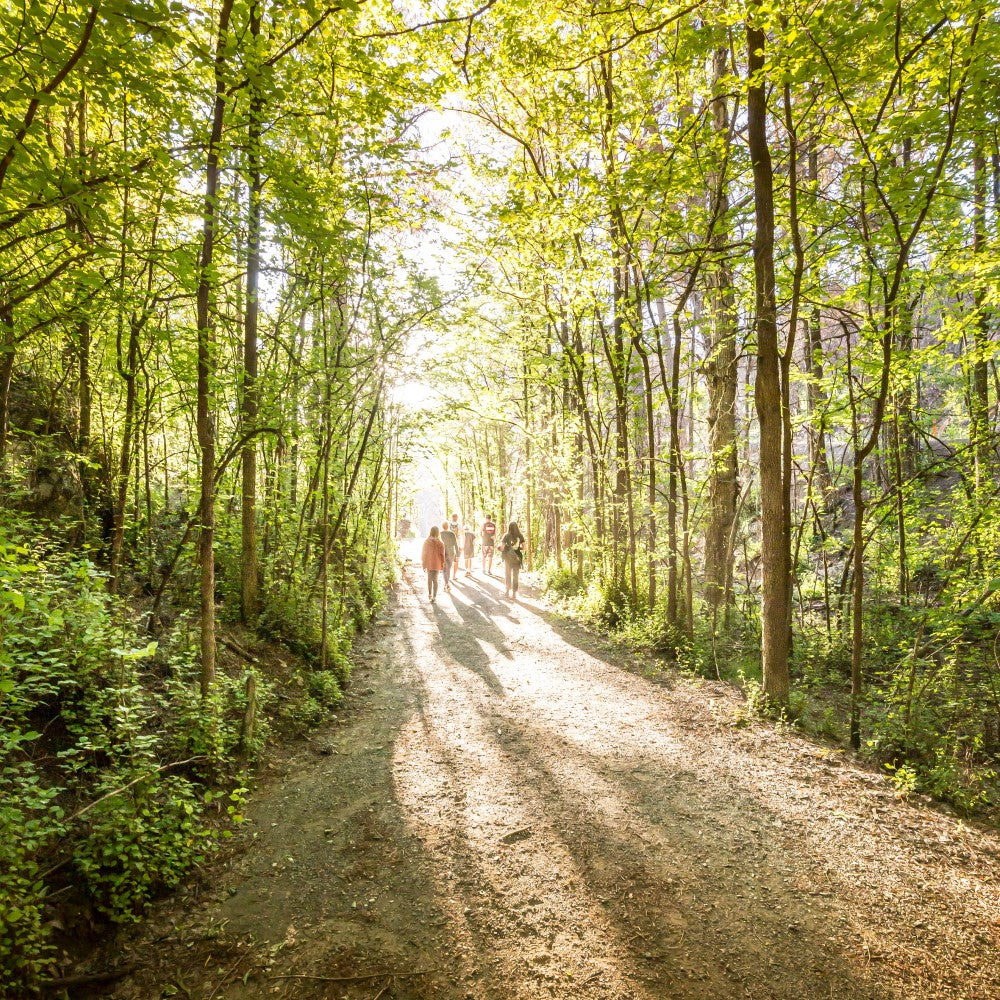 Tentree: Ten Trees are planted for every item purchased