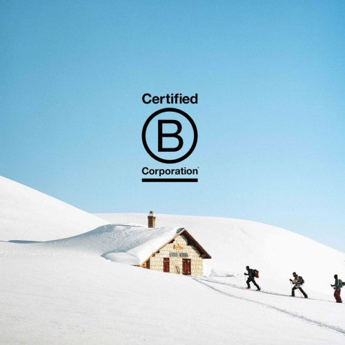 Sustainability 3 Brands Leading The Way