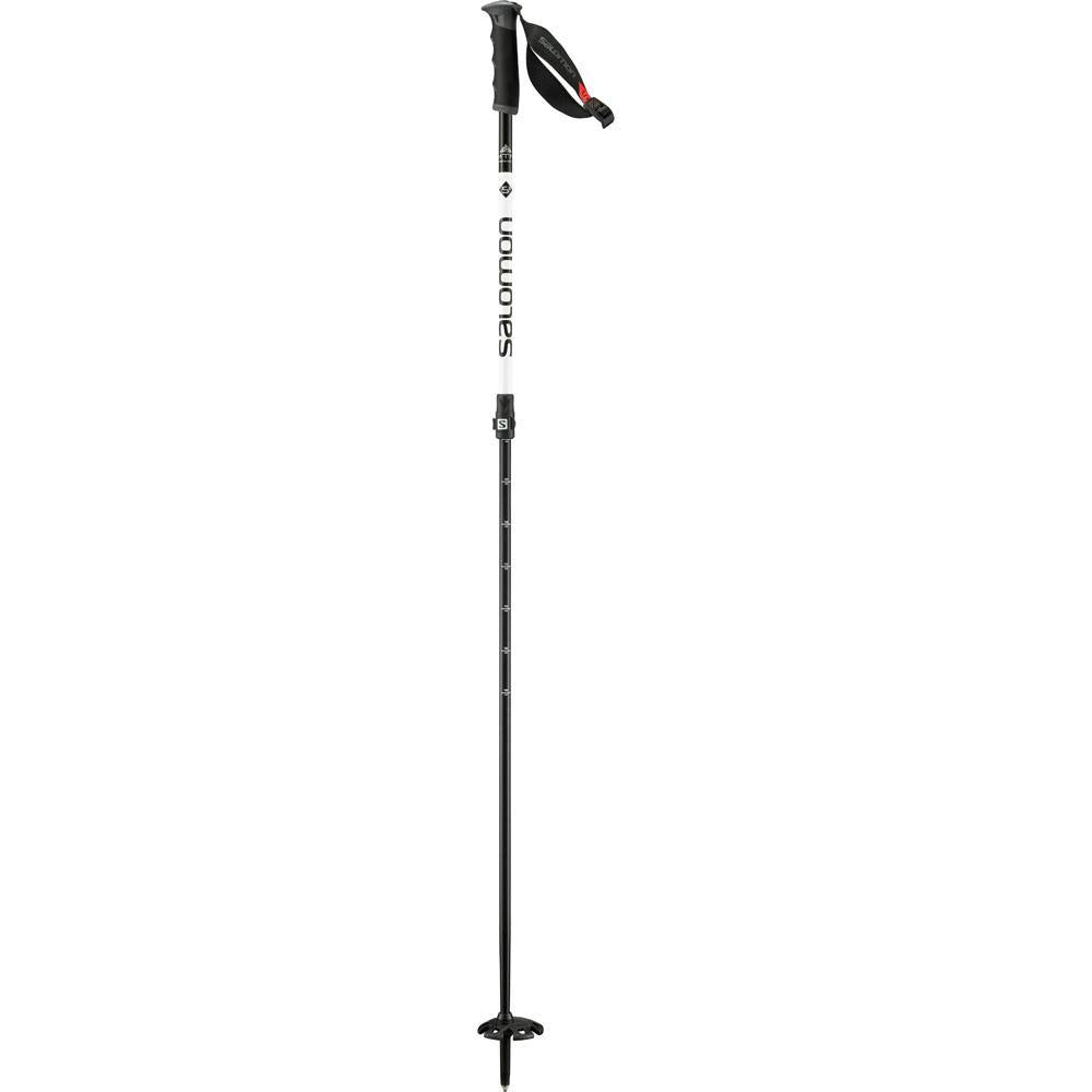 Ski Poles Standard