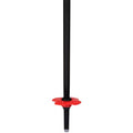 Speed Team Ski Poles - Kids