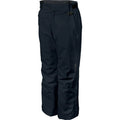 Stinger Jr Ski Pants - Kids