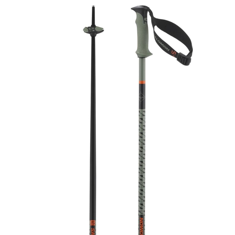 Polar Pro S3 Ski Poles