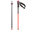 Polar Pro S3 Ski Poles