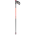 Polar Pro S3 Ski Poles