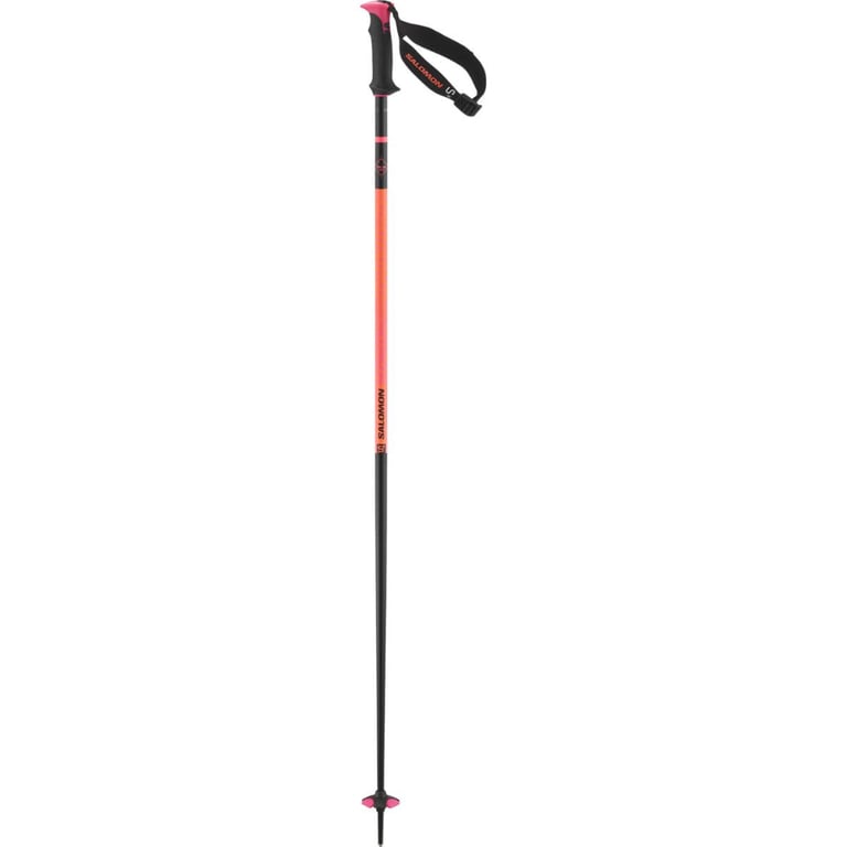 Polar Pro S3 Ski Poles