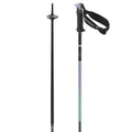 Polar Pro S3 Ski Poles