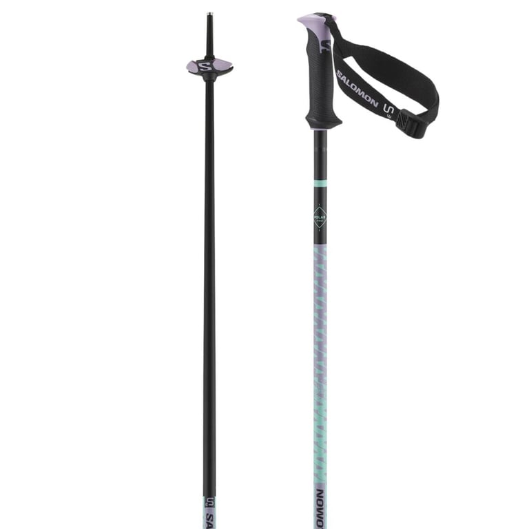 Polar Pro S3 Ski Poles