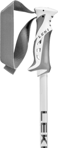 Bliss Ski Poles