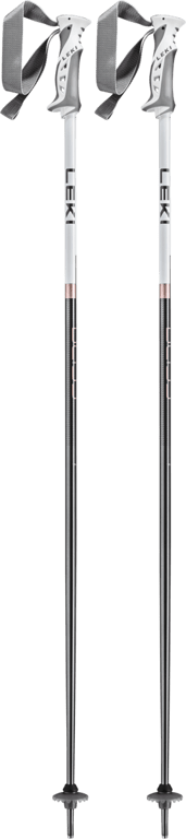 Bliss Ski Poles