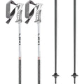 Bliss Ski Poles