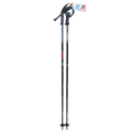 Primacy Ski Poles