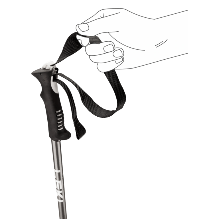 Primacy Ski Poles