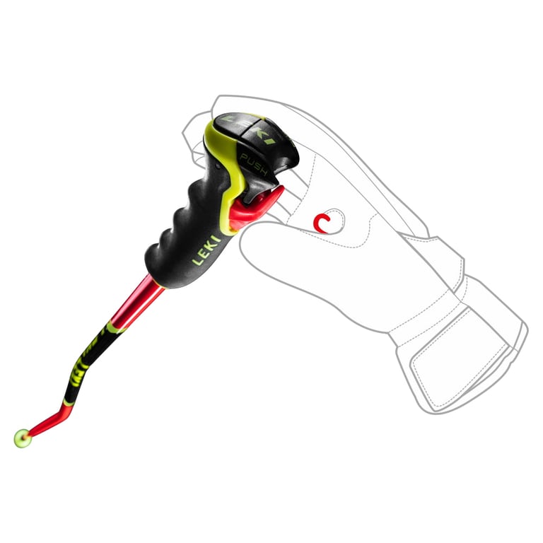 WCR TBS GS 3D Ski Poles