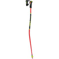 WCR Lite GS 3D Ski Poles