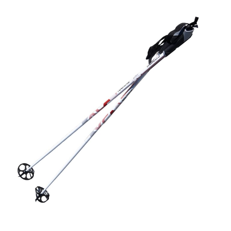 Masters Touring Poles