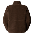 Rear view of The North Face Extreme Pile 2 Pullover for Women in Smokey Brown