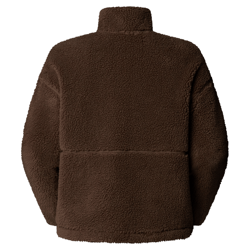 Rear view of The North Face Extreme Pile 2 Pullover for Women in Smokey Brown