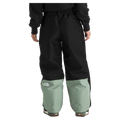 GTX Hex Ski Pants - Womens