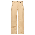 Main view of the Oakley Best Cedar Rc Insulated Ski Pants in Pebble colourway, mens's model
