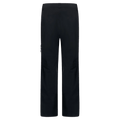 Back view of the Oakley Unbound Gore-Tex Shell 2.0 Ski Pants in Blackout colourway, men's model
