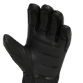 Arashi Guide Gtx Gloves