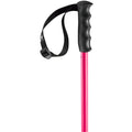 Prodigy Ski Poles