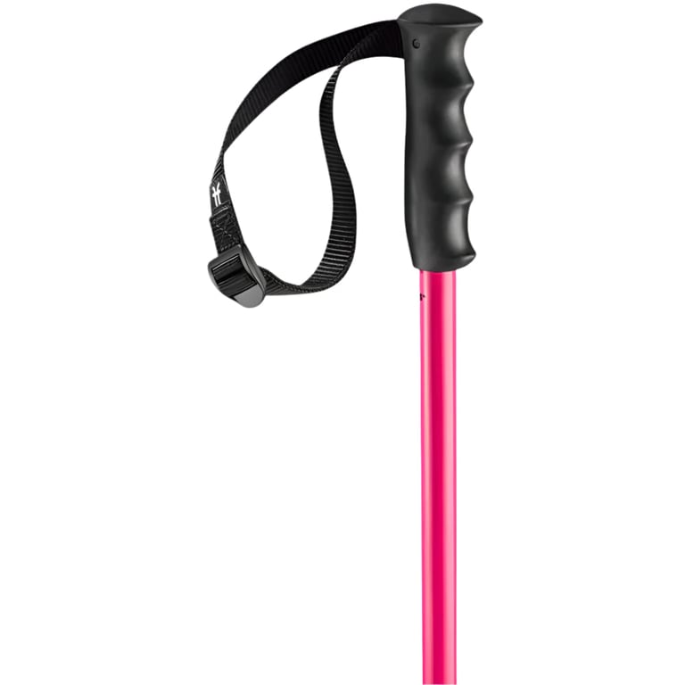 Prodigy Ski Poles