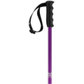 Prodigy Ski Poles
