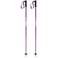 Prodigy Ski Poles