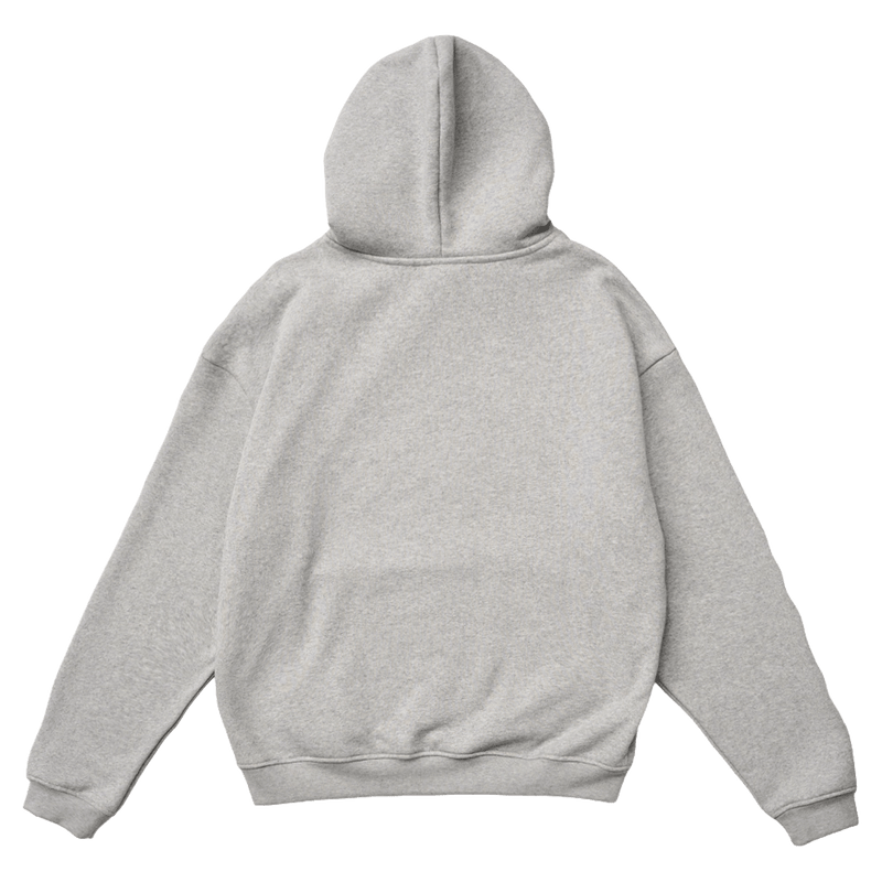 Back view of Resolve Linear Hoodie with a hood and ribbed cuffs in colour Grey Marle