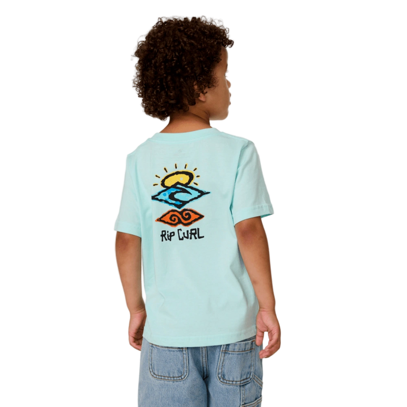 Back image of the Rip Curl Icons Of Shred Tee -Boy in Light-Aqua