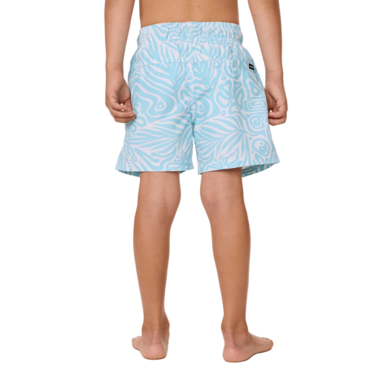 Back image of the Rip Curl Cosmic Surfing Volley - Boy in Light Blue