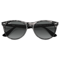 Folded view of the Ray-Ban Wayfarer II Sunglasses in Grey Havana, Photo Azure lens, unisex model