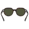 Back view of the RayBan Gina Sunglasses in Havana, Dark Green Polar lens, unisex model