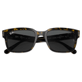 Folded view of the RayBan Jeffery Sunglasses in Havana On Transparent Brown, Dark Grey lens, unisex model