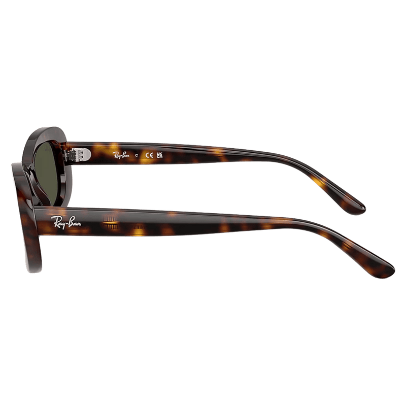 Side view of the RayBan RB2221 Sunglasses in Havana, Green lens, unisex model